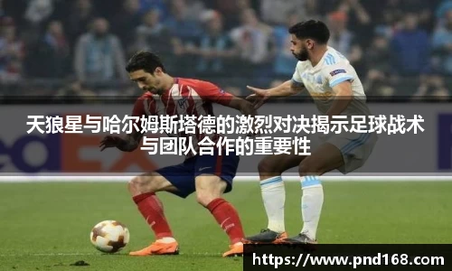 天狼星与哈尔姆斯塔德的激烈对决揭示足球战术与团队合作的重要性