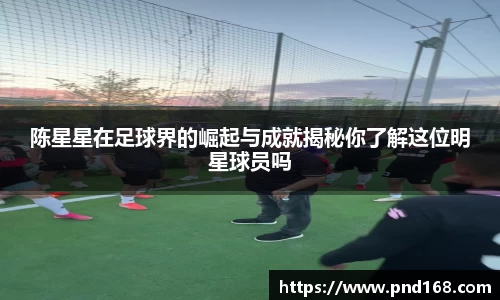 陈星星在足球界的崛起与成就揭秘你了解这位明星球员吗